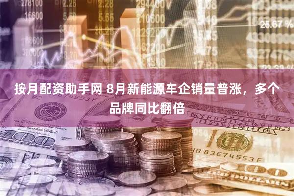 按月配资助手网 8月新能源车企销量普涨，多个品牌同比翻倍