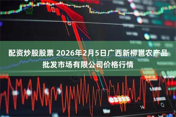 配资炒股股票 2026年2月5日广西新柳邕农产品批发市场有限公司价格行情