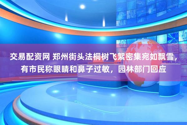 交易配资网 郑州街头法桐树飞絮密集宛如飘雪，有市民称眼睛和鼻子过敏，园林部门回应