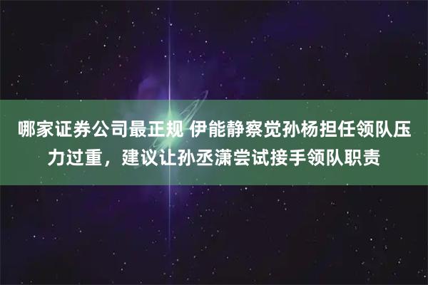 哪家证券公司最正规 伊能静察觉孙杨担任领队压力过重,建议让孙丞潇尝试接手领队职责