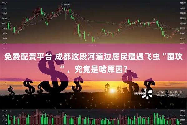 免费配资平台 成都这段河道边居民遭遇飞虫“围攻”，究竟是啥原因？