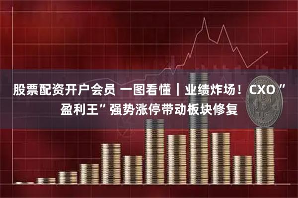股票配资开户会员 一图看懂｜业绩炸场！CXO“盈利王”强势涨停带动板块修复